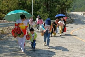 不负大好春光|大手牵小手·我们去春游！
