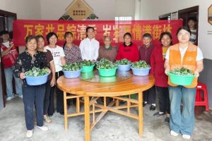 【民政服务站动态】粽香飘满院·欢笑暖夕阳